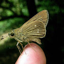 Smallest Swift
