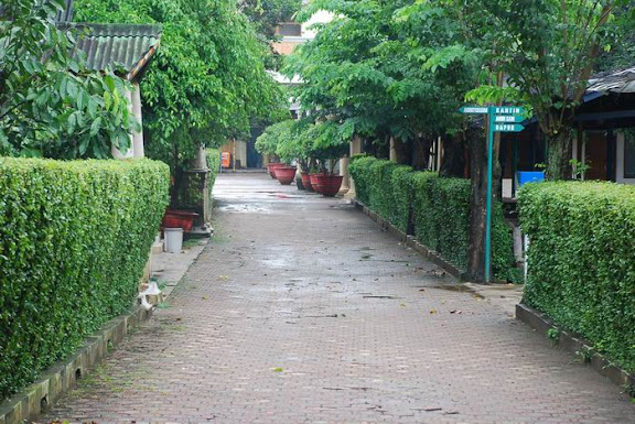 areal surau