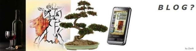 [blogfejlécszöveggelwidth768[4].jpg]