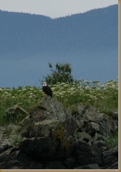 Alaska 2008 183