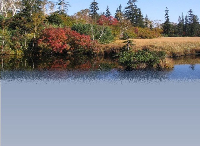 [«ìóÀü4º[5].jpg]