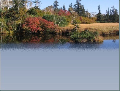 カレンダー水辺