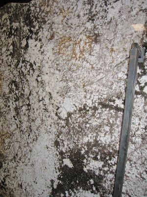 If you have delicatus granite       Kitchens Forum   GardenWeb