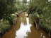 Canales en el delta