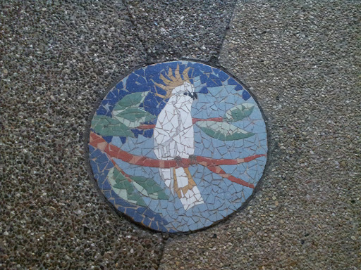 Cockatoo Mosaic, Coolangatta