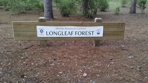 Longleaf Forest Sign