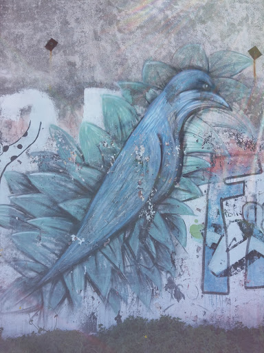 El Pájaro Azul