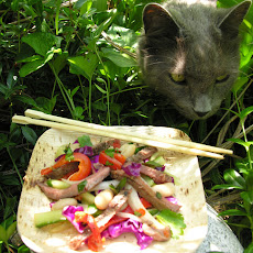 A salad my cat and I love