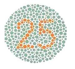 [lab_image_colour_blindness[6].jpg]