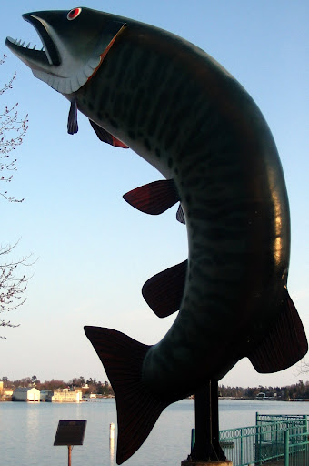 MUSKIE'D!