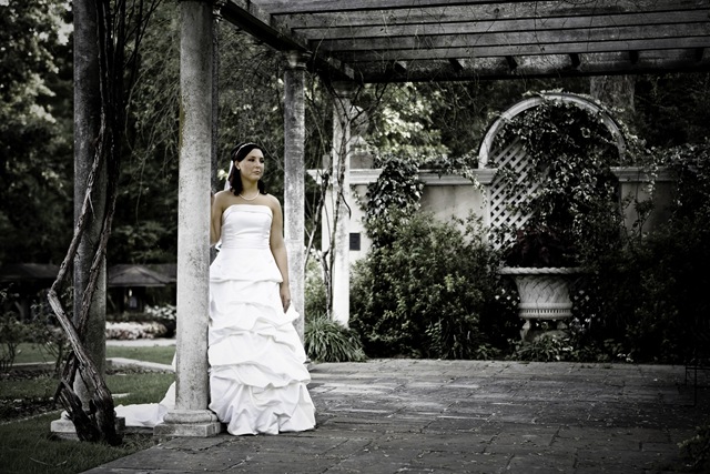 [_MG_9260-Edit-Edit[6].jpg]