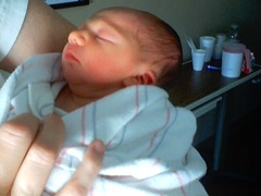 Evan Jason Bull
