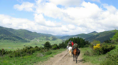 Foto von GR 107