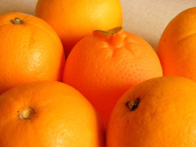 [20Aug08 213[5].jpg]