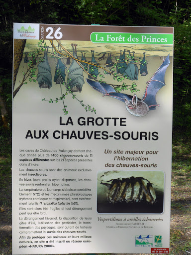 La Grotte Aux Chauves-Souris