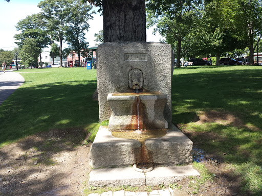 Fountain in Wood Park