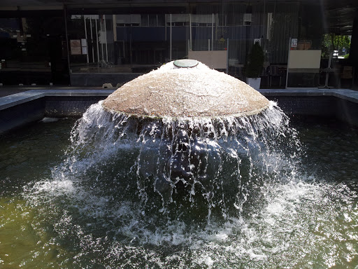 Magic Mushroom Fountain