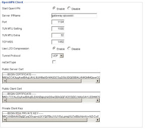OpenVPN Client