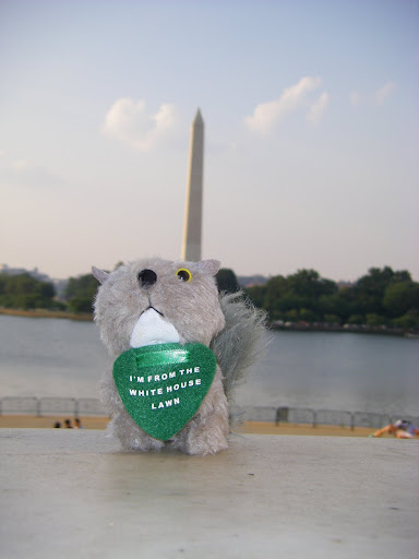 Washington Monument