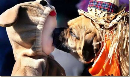 f0194e1be8622a9d28230075a6791d75_full