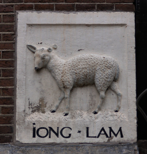 IONG LAM