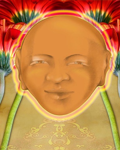 [iluminadow (Large)[4].jpg]