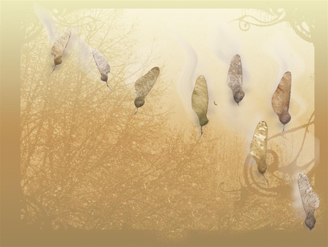 [hellacoptersonsky1 (Large)[5].jpg]