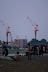 IMGP7896.jpg