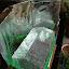 Monkeys Garden's Greenhouse garden