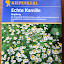 Chamomile Seeds