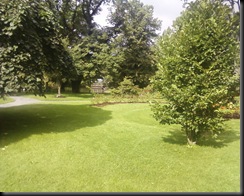 Photo0008