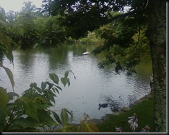 Photo0011