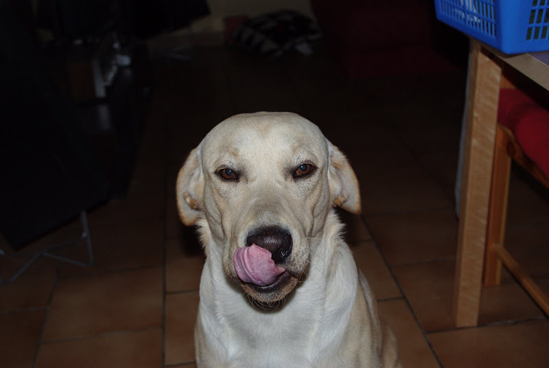 http://lh5.ggpht.com/bricedenice33/SL-z45kec9I/AAAAAAAAACA/dTFMoVptOOE/s800/00012.jpg