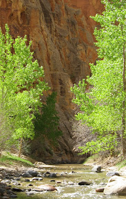 b 081.jpg