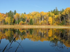 View of Silvercrown Lake from Carlson Campground