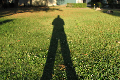 Eu e as minhas pernas longas