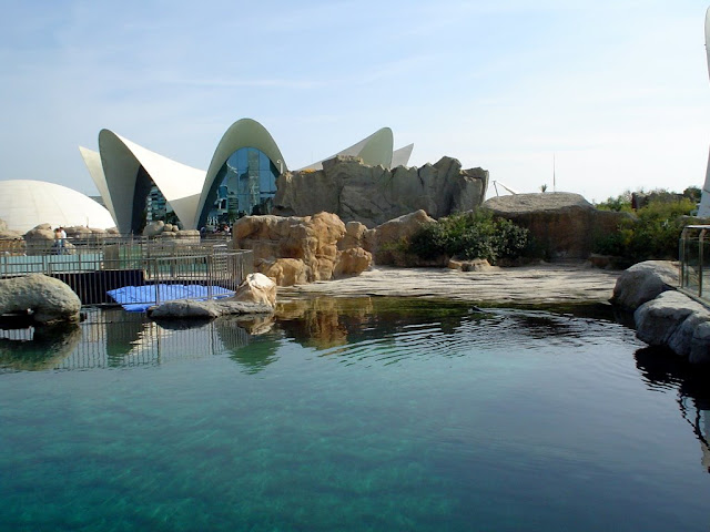 La Ciutat de les Artes i les Cincies: un complejo integrado por varios edificios - L'Hemisfric, El Museu de les Cincies Prncipe Felipe, L'Umbracle, L'Oceanogrfic, Palau de les Arts Reina Sofia DSC04348