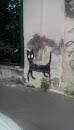 Cat. Grafiti