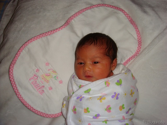 [Paula_Sophia_005[2].jpg]