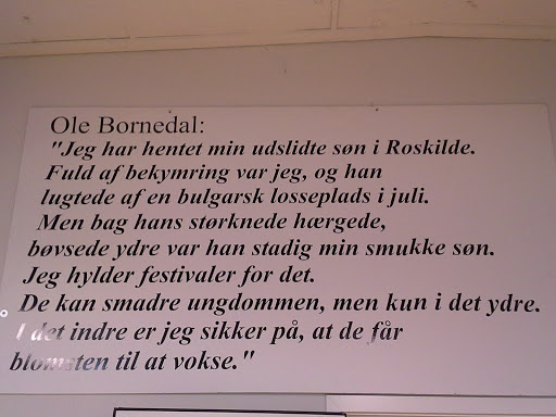 Roskilde Festival by Bornedal