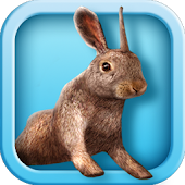 Bunny Simulator