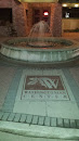 Washingtonian Center Fountain