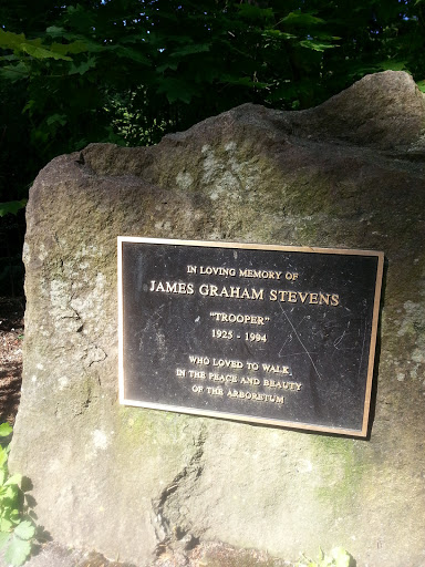 James Graham Stevens Memorial Rock