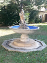 Fontana Comunale
