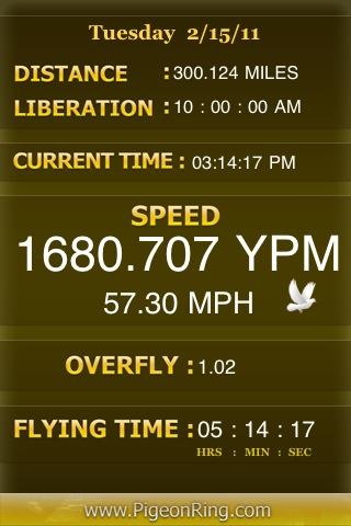 PIGEON RACING SPEED CALCULATOR