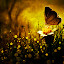 Into The Dark of Heaven by Donald Jusa - Digital Art Things ( butterfly, animals, arts, mood, insects, digital )