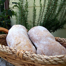 Ciabatta  With Hints of Rosemary / Bread Machine