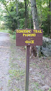 Songbird Trail