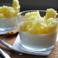 Yogurt Panna Cotta with Pineapple Granita