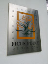 Ficus Point